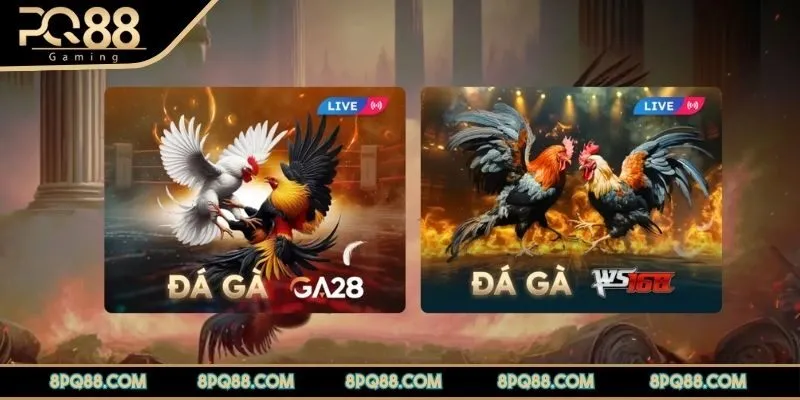 da-ga-pq88-tong-quan-ve-sanh